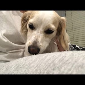 Meet your Posher, Hanna